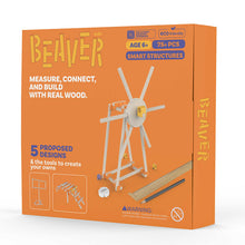 Beaver Smart Structures kit packaging and wooden model