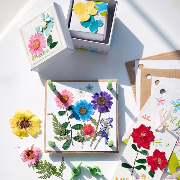4M Green Science Pressed Flower Art