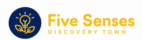 Five Senses Discovery