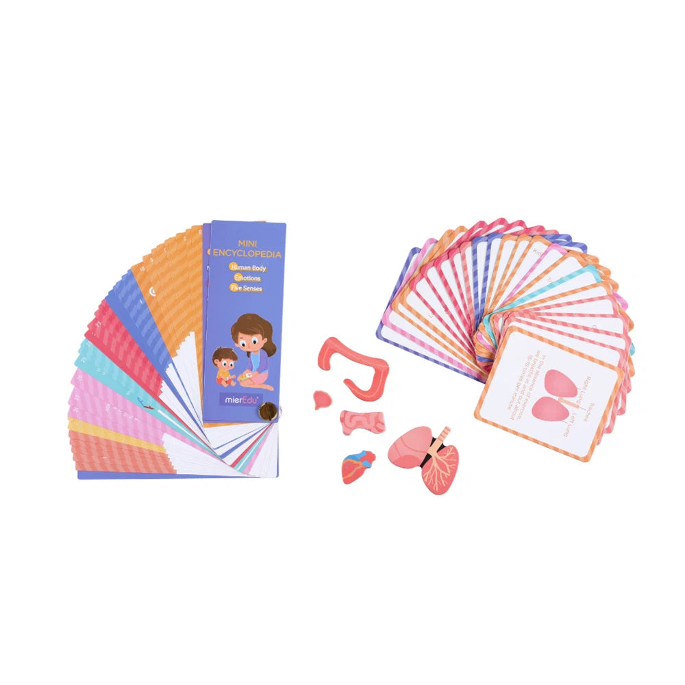 mierEdu Magnetic Puzzle – All About Body & Emotion